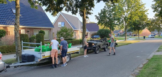 Bolchrysantenactie onder de zomerzon