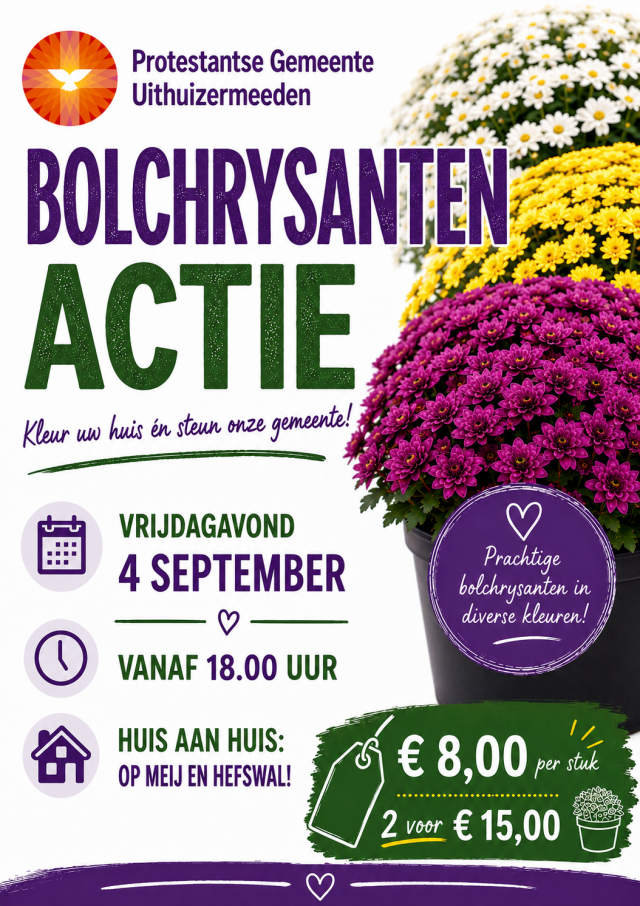 Jaarlijkse bolchrysantenactie 