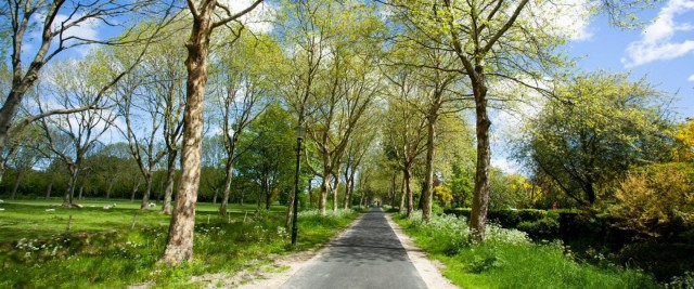 Paaswandeling