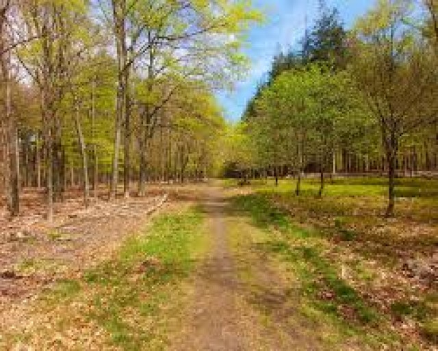 Paaswandeling door Uithuizermeeden