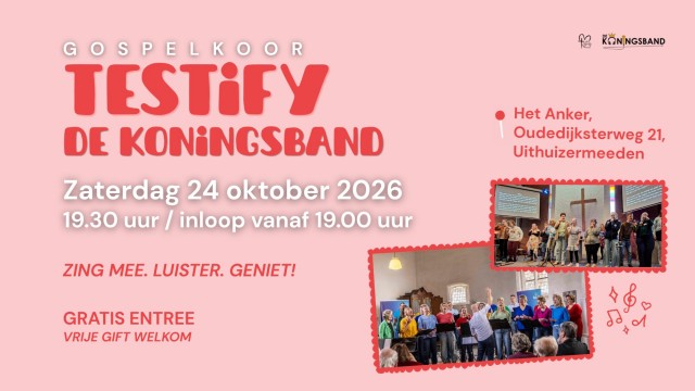 Concert Testify & 'De Koningband' 