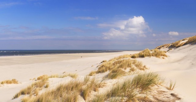 Zomervakantie